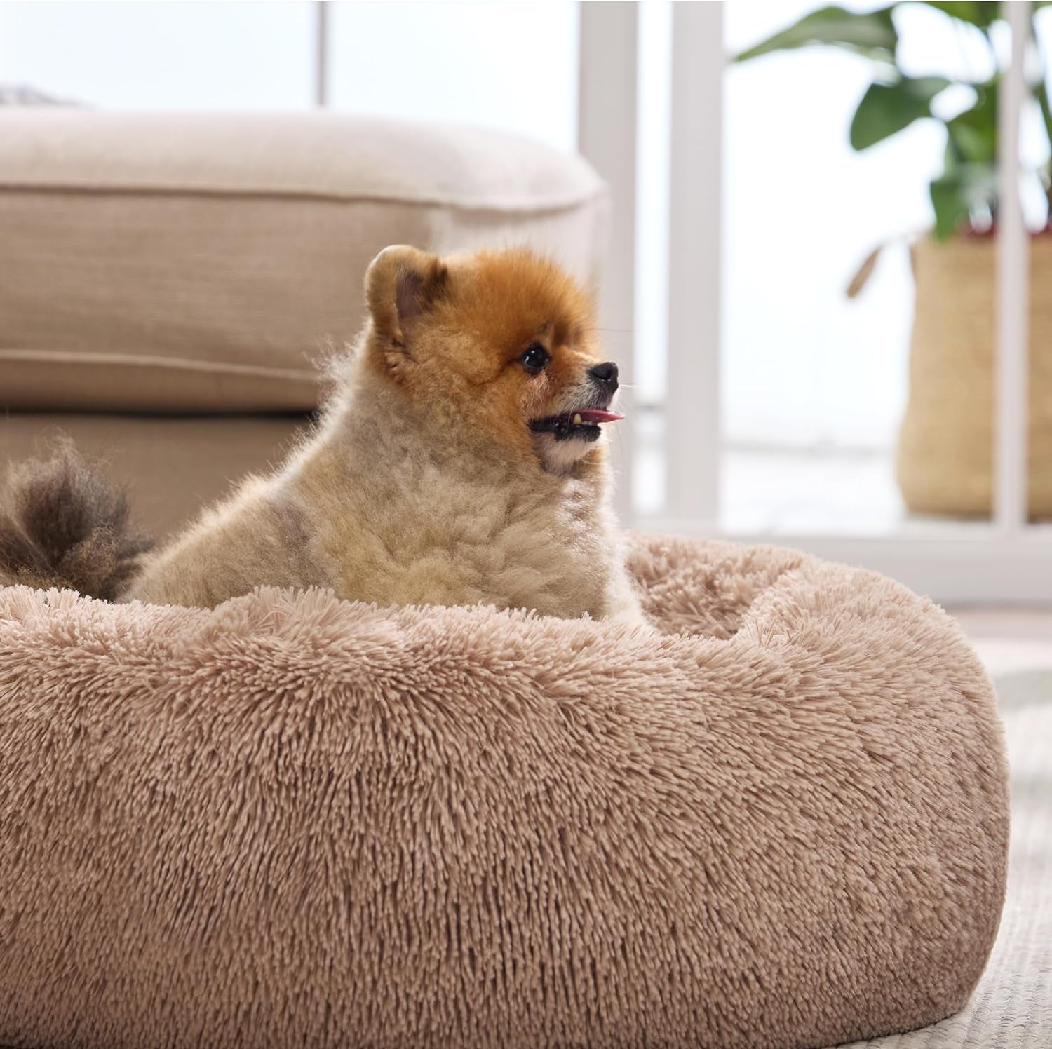 Calming Cat Beds for Indoor Cats - Small Cat Bed Washable 20 Inches, Anti-Slip round Fluffy Plush Faux Fur Pet Bed, Fits up to 15 Lbs Pets, Camel